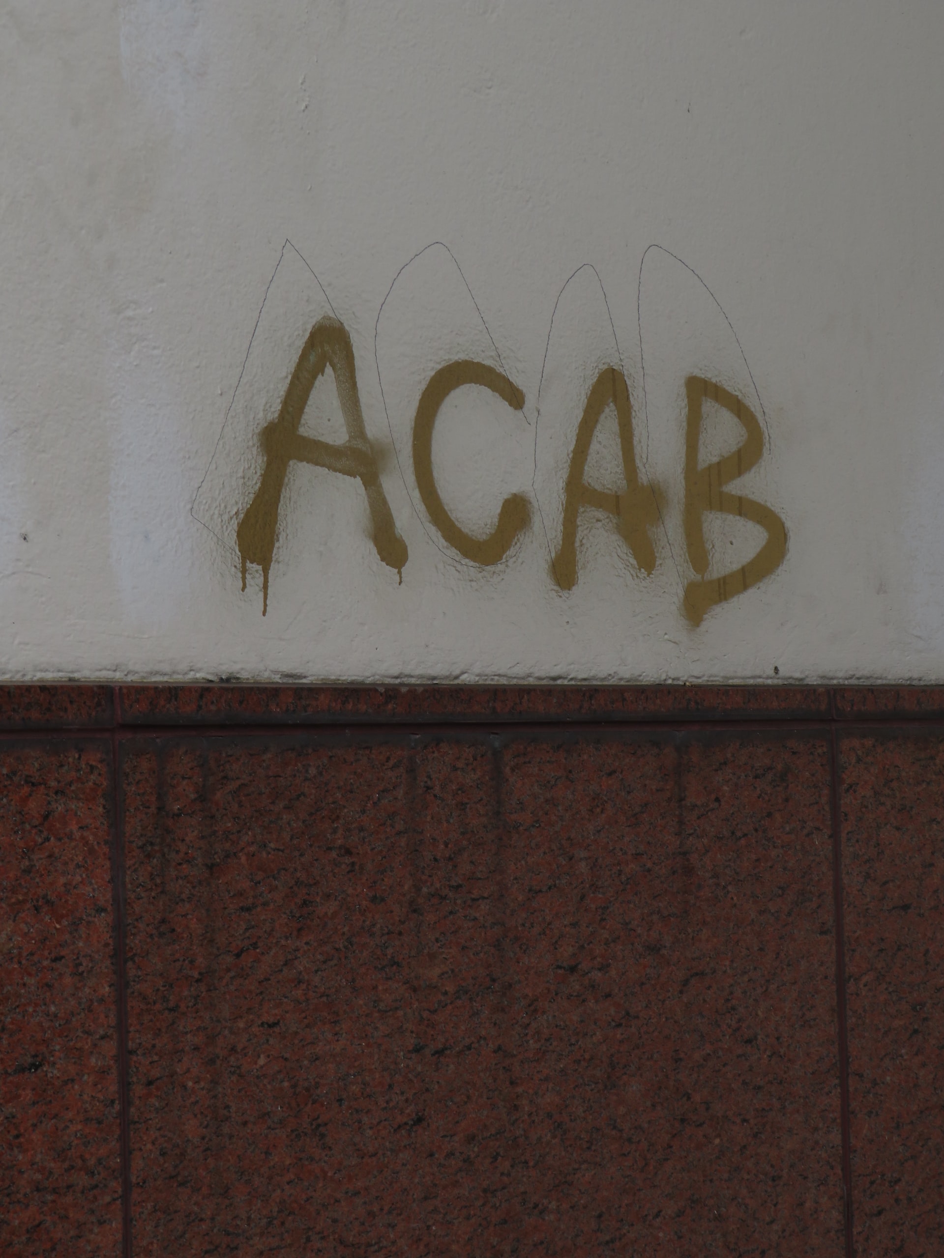 ACAB – ARE All Cops Bastards?