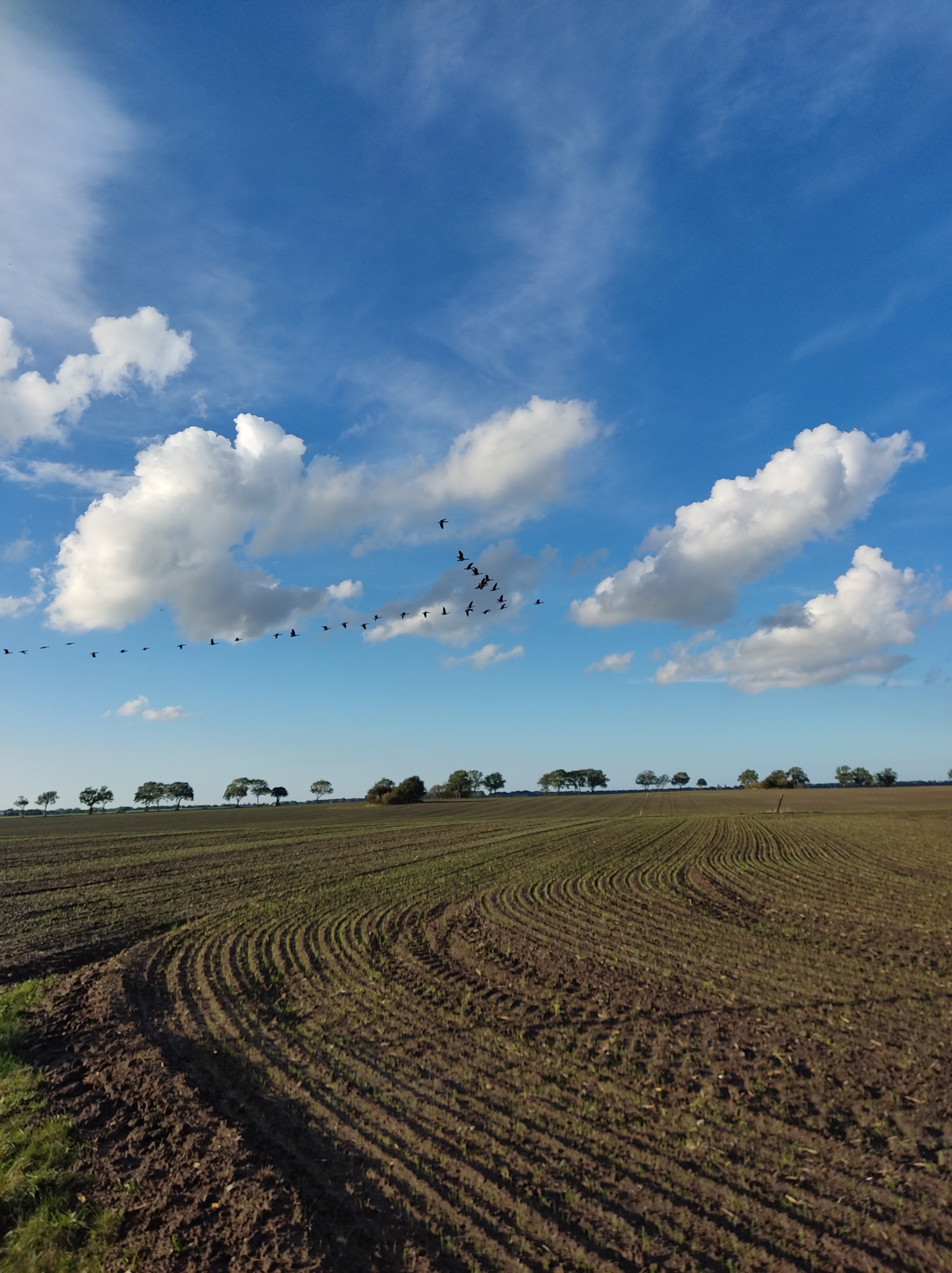 IST DAS NOCH SPÄTSOMMER?
